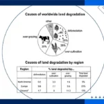 نمونه رایتینگ pie chart و جدول آیلتس