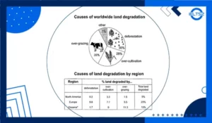 نمونه رایتینگ pie chart و جدول آیلتس