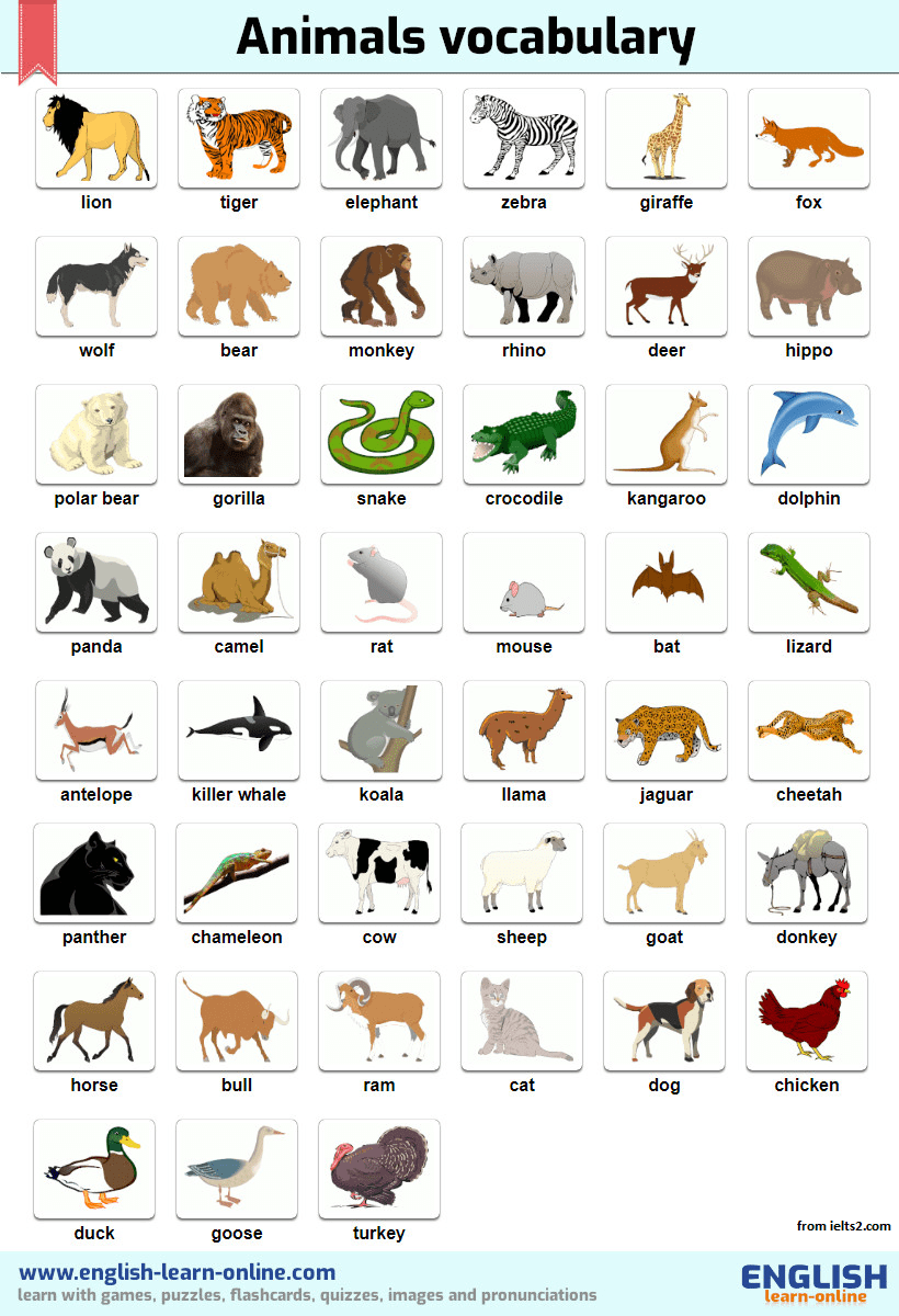 نام حیوانات در آیلتس