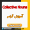 آموزش گرامر اسم جمع - Collective Noun