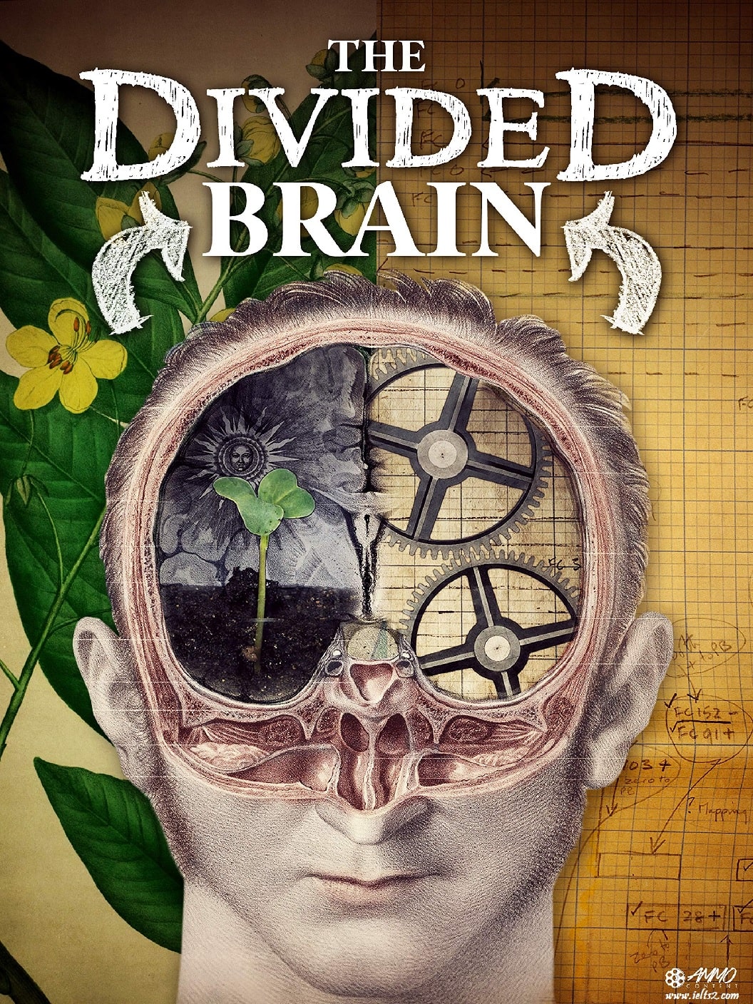 دانلود مستند ذهن منفصل The Divided Brain با زیرنویس انگلیسی