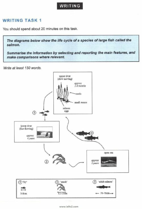 سوالات رایتینگ Process Diagram تسک 1