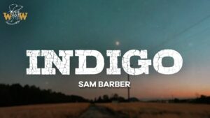 آهنگ Indigo از Sam Barber (با متن و ترجمه)