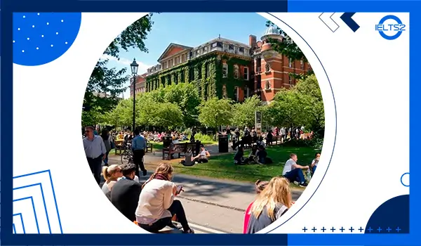It is neither useful nor possible that a country provides university