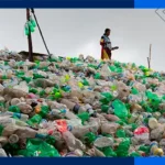 Some people say that not enough of the waste from homes is recycled.