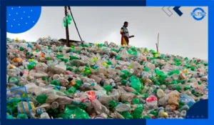 Some people say that not enough of the waste from homes is recycled.